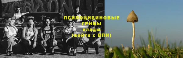 тгк Арсеньев