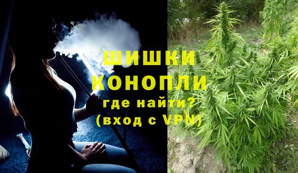 тгк Арсеньев