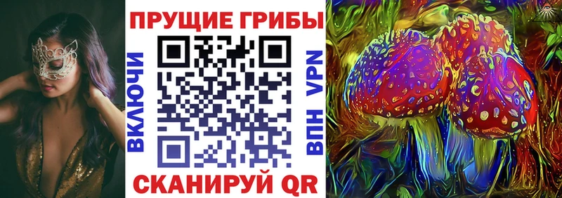 Галлюциногенные грибы прущие грибы  Тула 